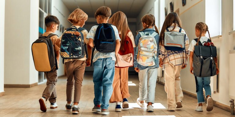 School Transport & Educational Trips in Mallorca